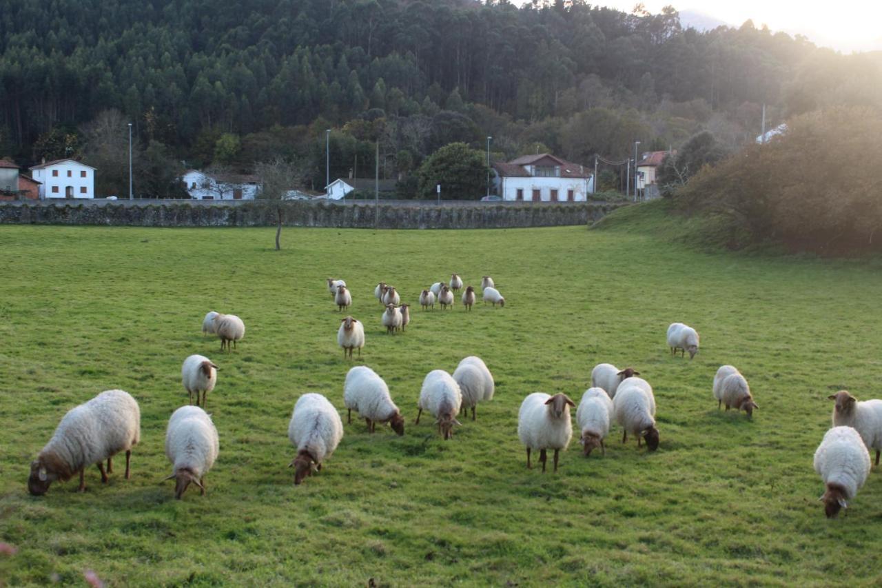 Hotel Pugide Llanes Kültér fotó